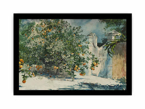 Orange trees and gate