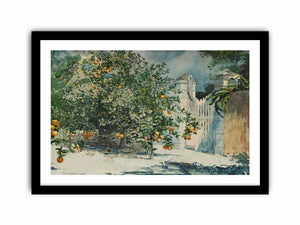Orange trees and gate