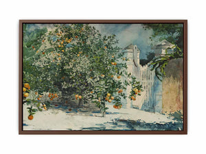 Orange trees and gate