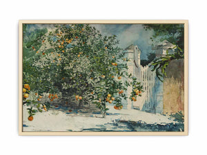 Orange trees and gate