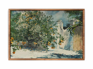 Orange trees and gate