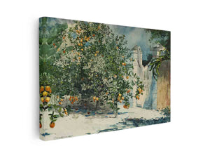 Orange trees and gate