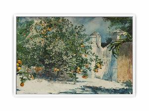 Orange trees and gate