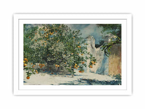 Orange trees and gate