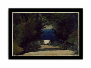 Road in Bermuda