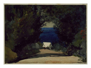 Road in Bermuda