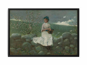 Peach Blossoms