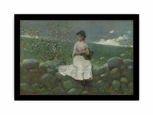 Peach Blossoms