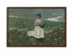 Peach Blossoms