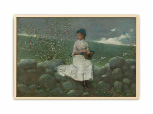 Peach Blossoms