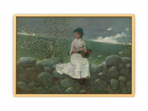Peach Blossoms