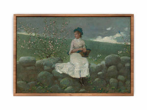 Peach Blossoms