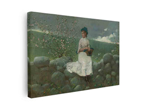 Peach Blossoms