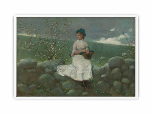 Peach Blossoms