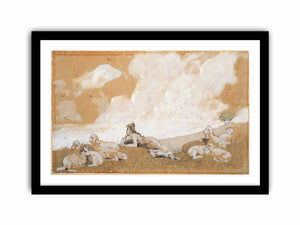 Girl and sheep