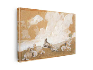 Girl and sheep