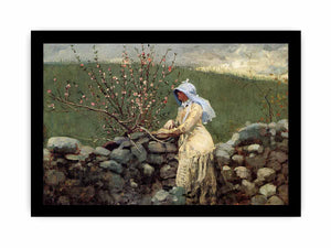 Peach Blossoms