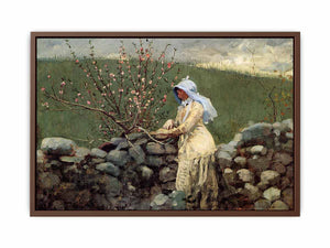 Peach Blossoms
