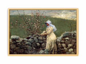 Peach Blossoms