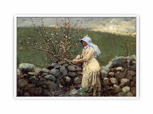 Peach Blossoms