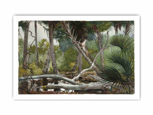 In the Jungle, Florida