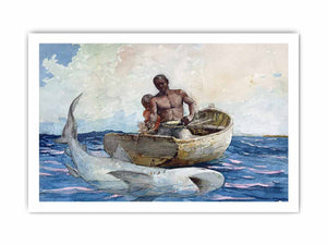 Shark fishing