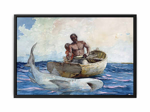 Shark fishing