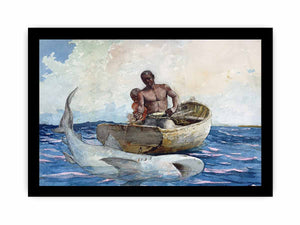 Shark fishing