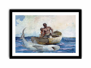 Shark fishing