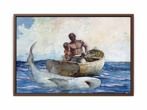 Shark fishing