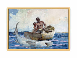Shark fishing