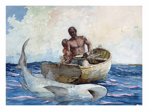 Shark fishing