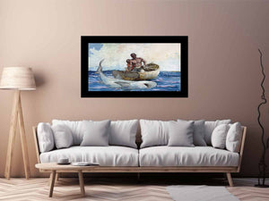 Shark fishing