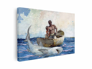 Shark fishing