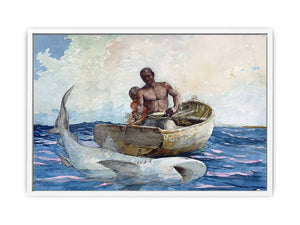 Shark fishing