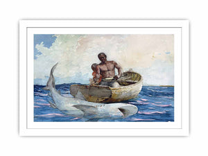 Shark fishing