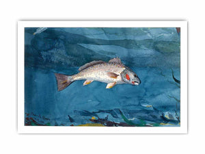 Channel Bass