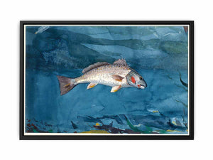Channel Bass