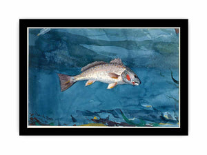 Channel Bass