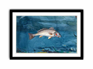 Channel Bass