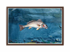 Channel Bass