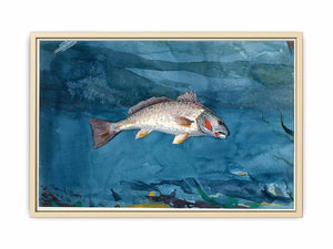 Channel Bass
