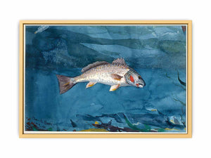 Channel Bass