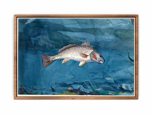 Channel Bass