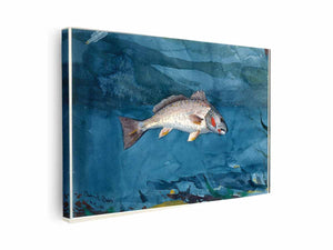 Channel Bass