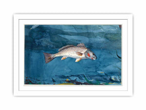 Channel Bass