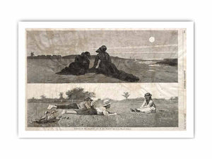 Flirting on the Seashore and on the Meadow