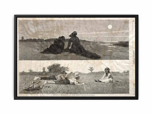 Flirting on the Seashore and on the Meadow