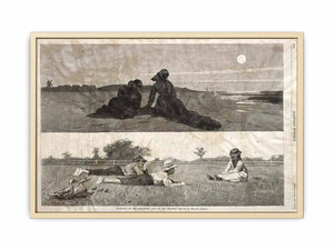 Flirting on the Seashore and on the Meadow