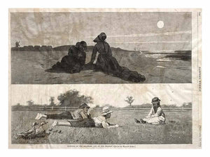 Flirting on the Seashore and on the Meadow